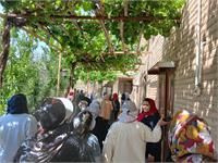 تور تفریحی روستای فنود 7