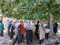 تور تفریحی روستای فنود 8